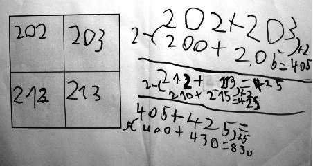 Schülerlösung: Summe des 2 mal 2 Ausschnittes „202, 203, 212, 213“. „202 plus 203. 200 plus 205 = 405. 212 plus 213 = 425. 210 plus 215 = 425. 405 plus 425 = _. 400 plus 430 = 830.“