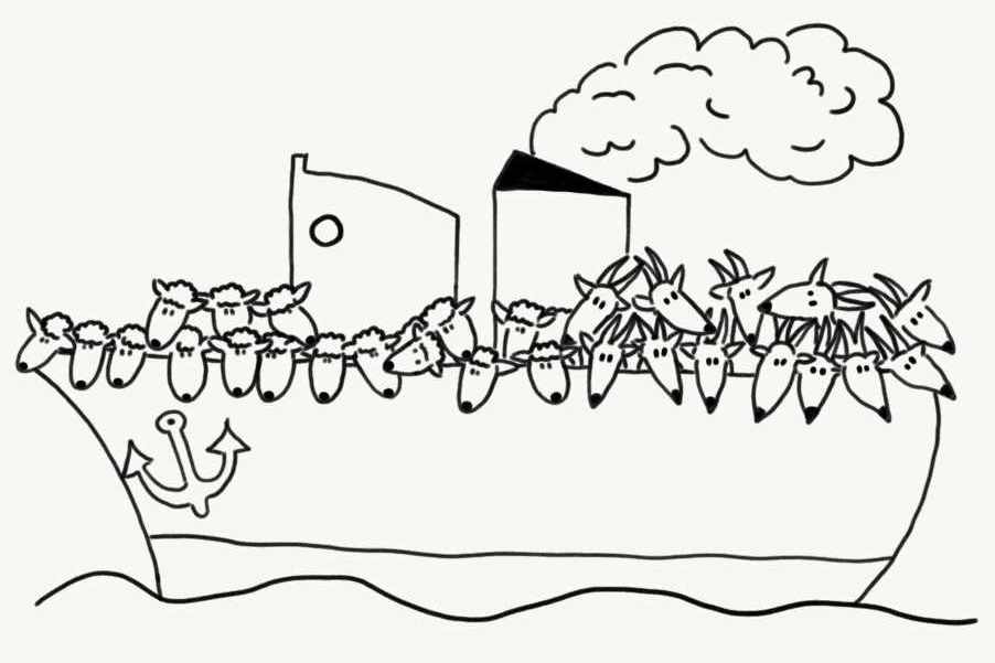 Illustration eines Schiffes, auf dem zahlreiche Schafe und Ziegen abgebildet sind.